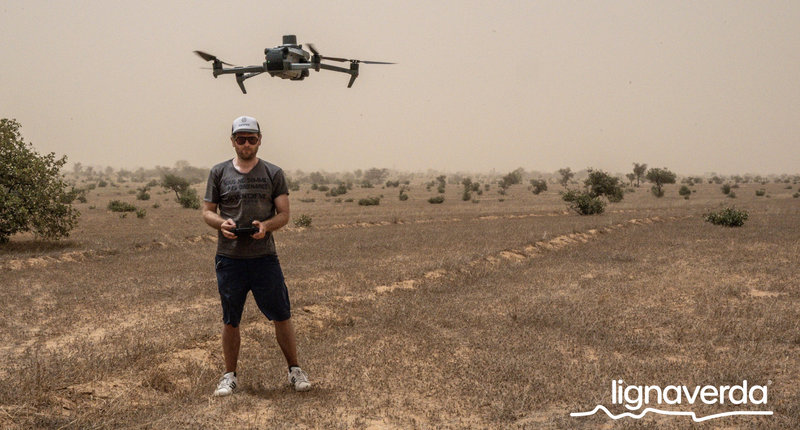 Diareeks_Lignaverda_Schilde13_result