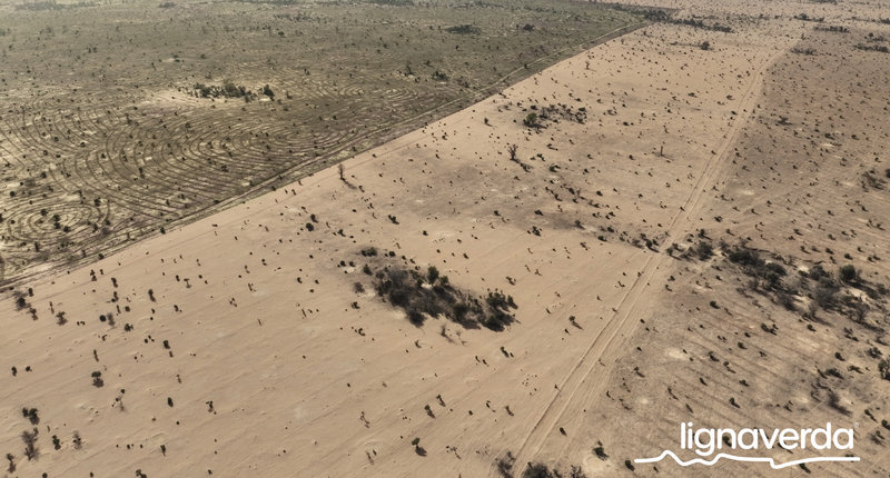 Diareeks_Lignaverda_Schilde14_result