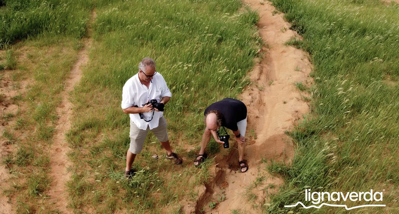 Diareeks_Lignaverda_Schilde15 1_result