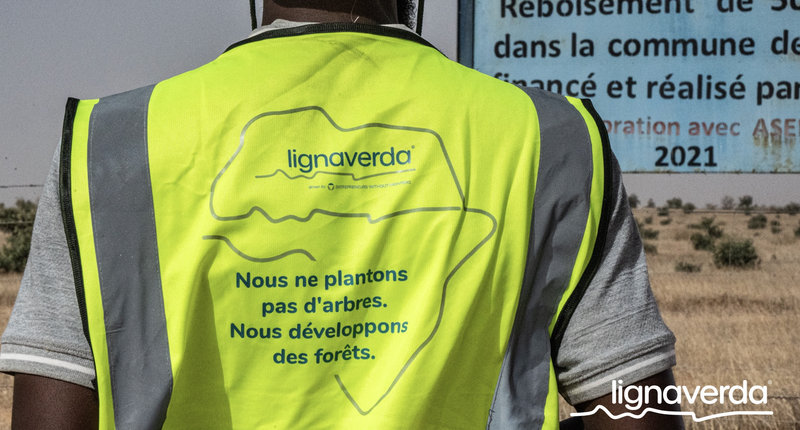 Diareeks_Lignaverda_Schilde17_result