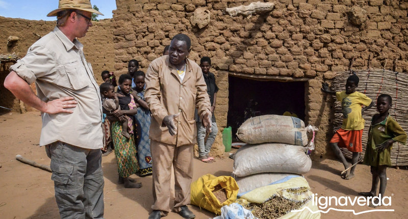 Diareeks_Lignaverda_Schilde20_result