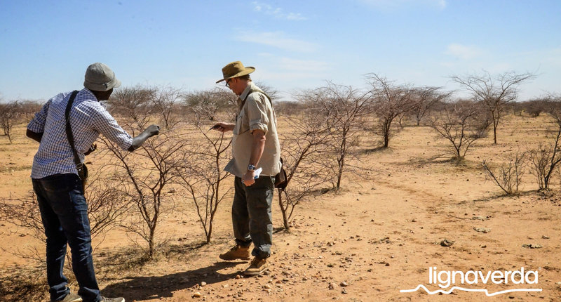 Diareeks_Lignaverda_Schilde21 1_result