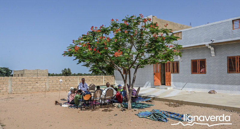 Diareeks_Lignaverda_Schilde23 1_result