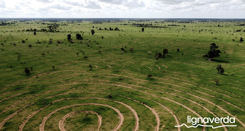 Diareeks_Lignaverda_Schilde27 1_result