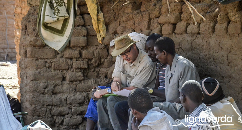 Diareeks_Lignaverda_Schilde28_result