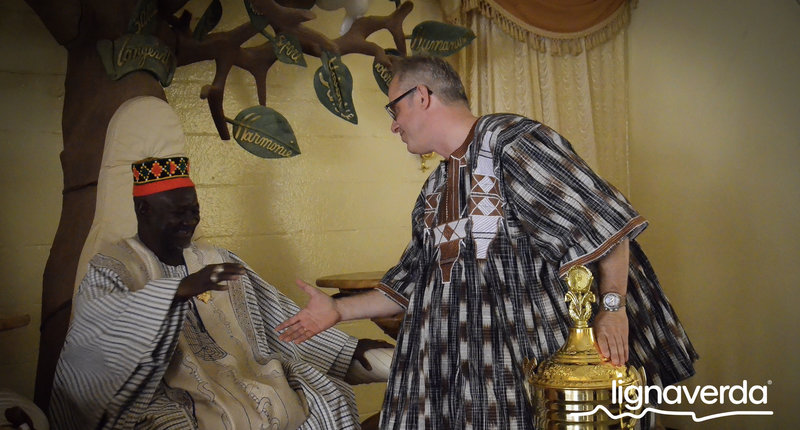 Diareeks_Lignaverda_Schilde29_result