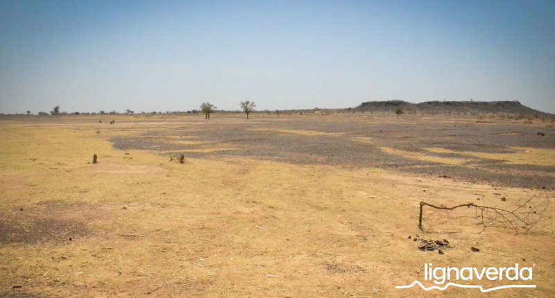 Diareeks_Lignaverda_Schilde2_result