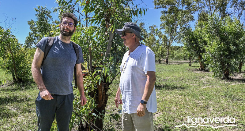 Diareeks_Lignaverda_Schilde32 1_result