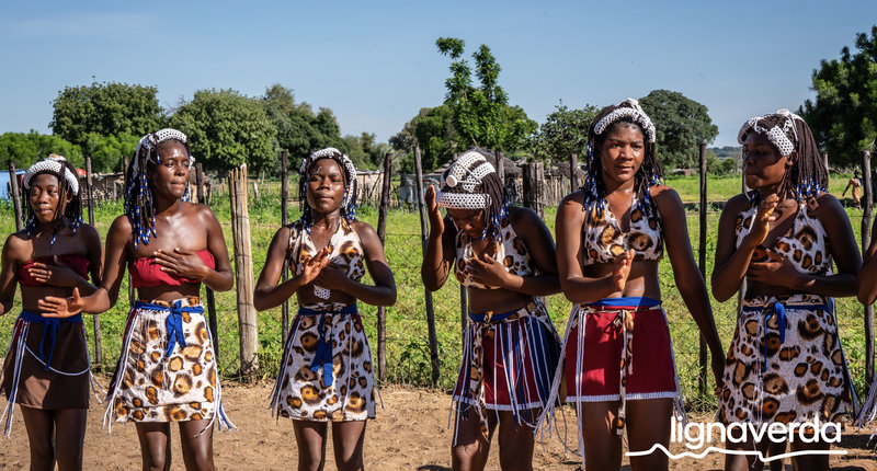 Diareeks_Lignaverda_Schilde34 1_result