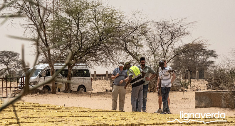 Diareeks_Lignaverda_Schilde35 1_result