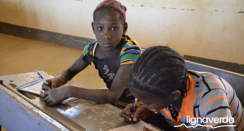 Diareeks_Lignaverda_Schilde38_result