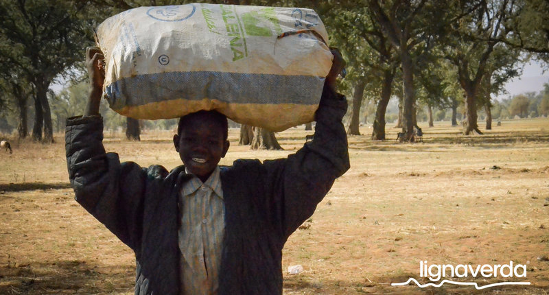 Diareeks_Lignaverda_Schilde39 1_result