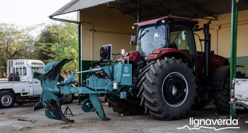 Diareeks_Lignaverda_Schilde3_result