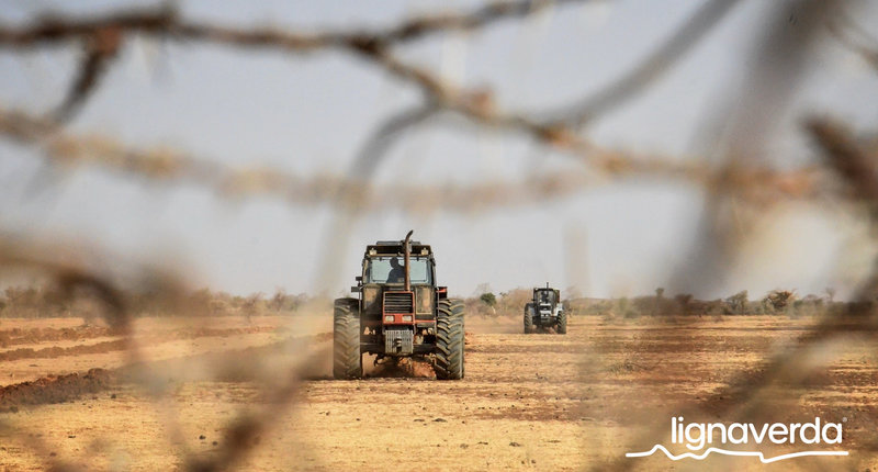 Diareeks_Lignaverda_Schilde4_result