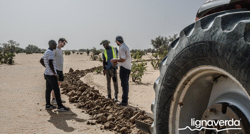 Diareeks_Lignaverda_Schilde5 1_result