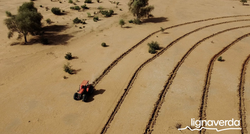 Diareeks_Lignaverda_Schilde6_result