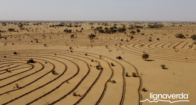 Diareeks_Lignaverda_Schilde7 1_result