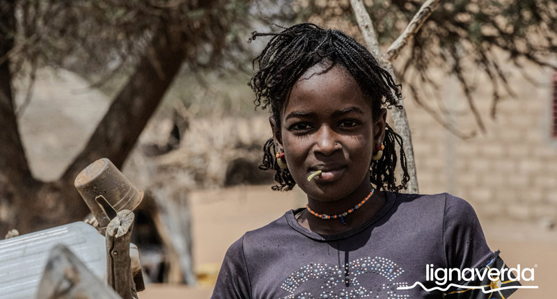 Diareeks_Lignaverda_Schilde9_result