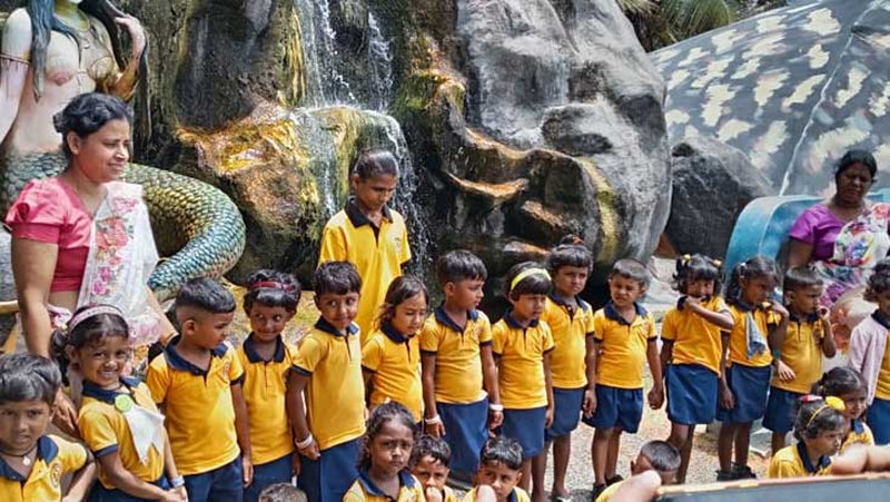 Vanameekanda25v_result