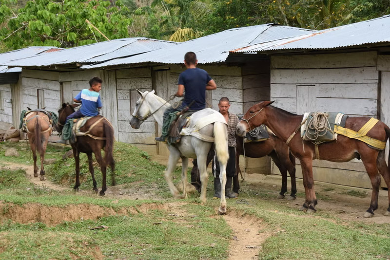 e0a649_03e98fa319344a608fc54c93587f4f30~mv2.jpg_result