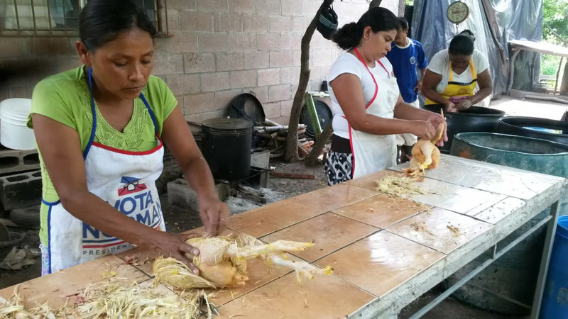 e0a649_3ecf53f450454d988f8e70cda41c06f1~mv2.jpg_result