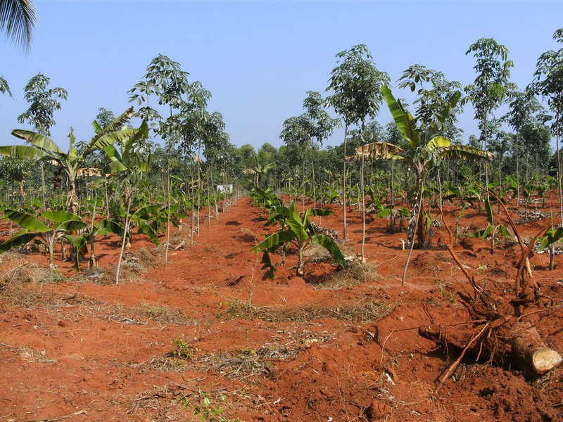 i286260064250935313_result