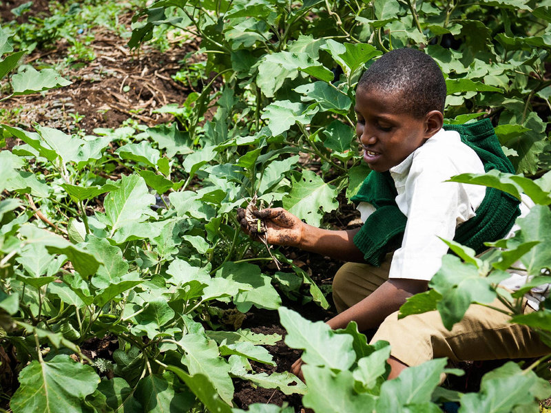 moestuin2-2000x1501-35_result