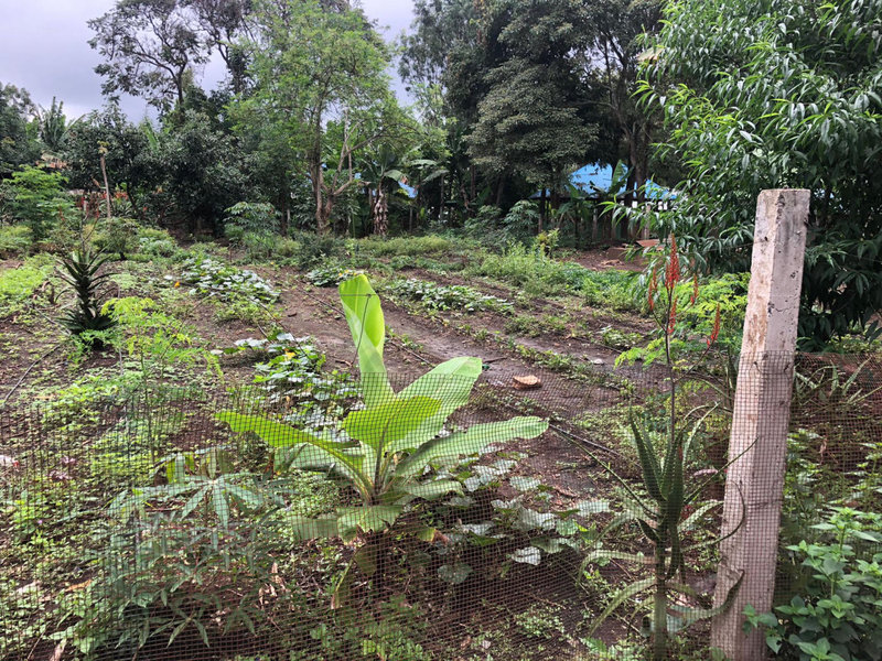 tuin2-1400x1050_result